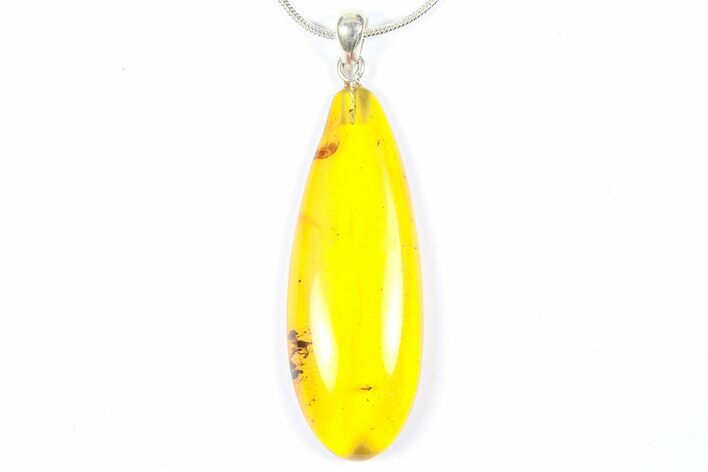 Polished Baltic Amber Pendant (Necklace) - Contains Fly! #368911